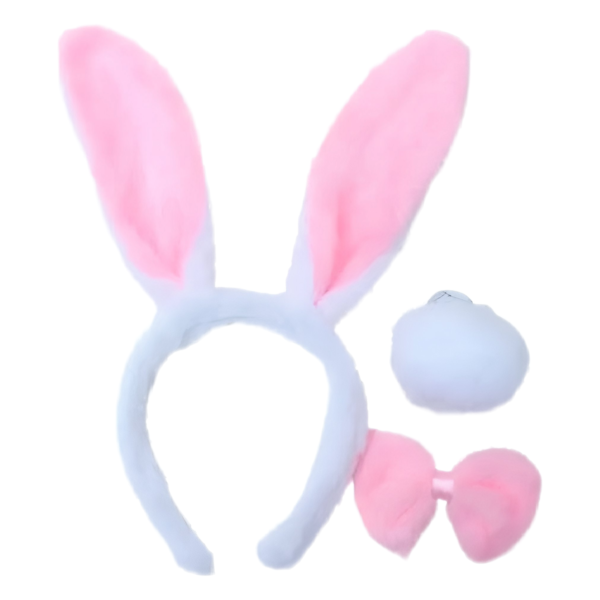 Les accessoires du lapin